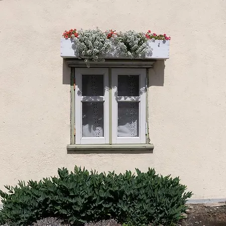 Promenaadi Villa